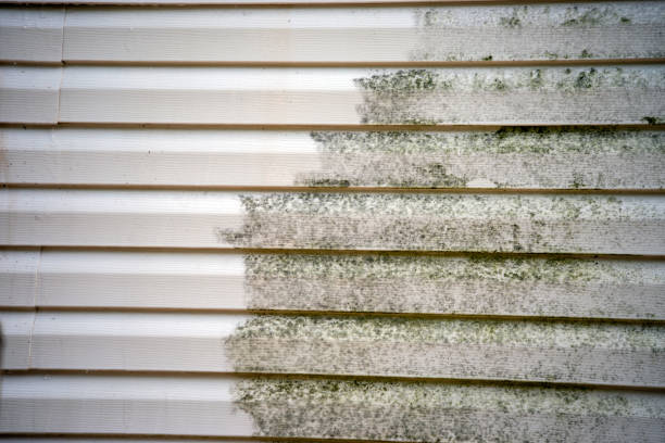 Best Fascia and Soffit Installation  in Orinda, CA